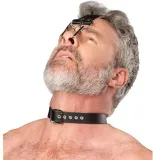 Lederhalsband m. Kopfriemen & Nasenhaken
