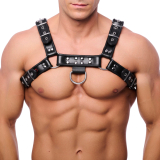 The-RED Premium Harness Leder schwarz S-M