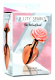 Plug anal Pink Rose aluminium doré medium