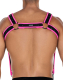 H4RNESS by C4M NEO Harness pink made of Neoprene w. Snap Fasteners removable Braces w. Carabiners buy