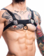 H4RNESS by C4M Party Harness schwarz aus strapazierfähigem PU-Kunstleder & Metallringen mit Druckknöpfen kaufen