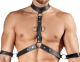 Harness-Pants & Brustharness Netz & Mattlook Kombination mit Fesselringen & 4 Arm/Handfesseln von SVENJOYMENT kaufen