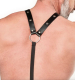 Leder Body-Harness m. G-String fürHerren aus Nappa- & Spaltleder von RIMBA kaufen