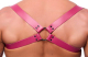 Leder Rückenharness m. Schulterriemen pink L-XL aus starkem Rindsleder mit Schnallen von THE RED günstig kaufen