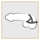 Penis-Hodenring elastisch Trio