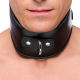 Posture Collar padded w. D-Ring Leather by Buckle adjustable BDSM Neck Restraint strong Cowhide buy cheap