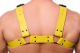 Acheter The-RED Bulldog Harness Cuir Jaune S-M 4cm larges lanières coupe droite matériel métallique noir