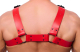 The-RED Bulldog Harness Leder rot L-XL 2mm starke 4cm breite Lederriemen gerade geschnitten schwarzes Metall kaufen