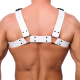 The-RED Bulldog Harness Leder weiss L-XL 2mm starke 4cm breite Lederriemen schwarze Metallhardware kaufen