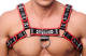 The-RED Premium Harness Leder schwarz-rot S-M mit silberfarbener Metallhardware 4 Schnallen 3.5cm Riemen kaufen