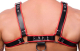 The-RED Premium Harness Leder schwarz-rot S-M mit 4 Schnallen 3.5cm breite Rindsleder-Riemen günstig kaufen