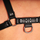The-RED Premium Harness Leder schwarz S-M 3.5cm breite Rindsleder-Riemen günstig kaufen