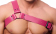 The-RED Schulter-Harness Leder pink L-XL einseitiger 2mm starker Brustharness mit Schnalle schwarzes Metall kaufen