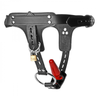 Cockring anale plug harness bloccabile in pelle premium