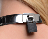 Stainless Steel Collar w. Ring lockable 39cm