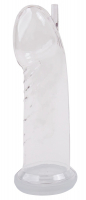 Fröhle Vakuum Peniszylinder flexibel anatomisch