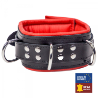 Collar padded w. D-Rings Leather black-red