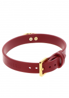 Halsband m. O-Ring rot-gold Kunstleder 2cm schmal & weich einstellbar per Schnalle goldfarbenes Metall günstig kaufen