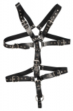 Mens Leather-Harness Strap-Body w. Cockring Buffalo-Leather Straps w. Eylets Rivets & Steel Rings by ZADO buy