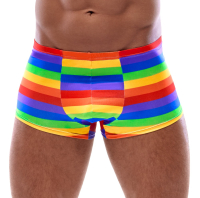 Mens Shorts Rainbow multicolor