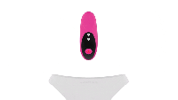 Panty Vibrator w. App Lovense Ferry small whisper-quiet wearable Clit-Stimulator waterproof powerful cheap