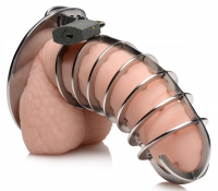 Chastity Cock Cage w. Spikes Stainless Steel