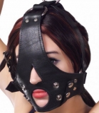 Head Harness Leather w. removable Gag Bishop