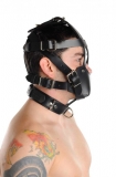 Head Harness padded Muzzle Leather