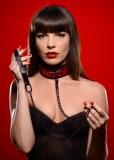 Kunstleder Halsband & Leine m. Prägung rot-schwarz glänzender Look m. schwarzer nickelfreier Metall Hardware kaufen