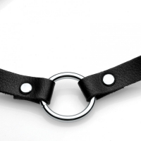 PU-Leather Choker w. silver Ring Lush Pet nickel-free Metal-Chain & Lobster Clasp Closure by MASTER SERIES buy