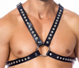 Lederriemen Brust-Harness nietenverziert
