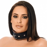 Leather Collar padded black-brown