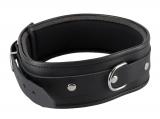Leather Collar w. D-Ring ZADO