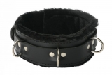 Leather Collar Fur lined Premium lockable