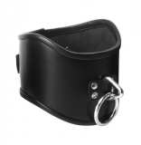 Leather Posture Collar lockable Curved