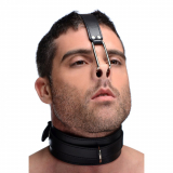 Nose Hook & Leather Collar Combination