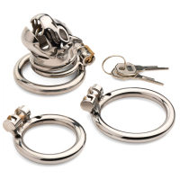 Penis-Cage w. integrated Lock Caged Cougar Stainless Steel