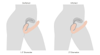 Vibromasseur Strap-On sans ceinture gonflable avec télécommande Twist beige